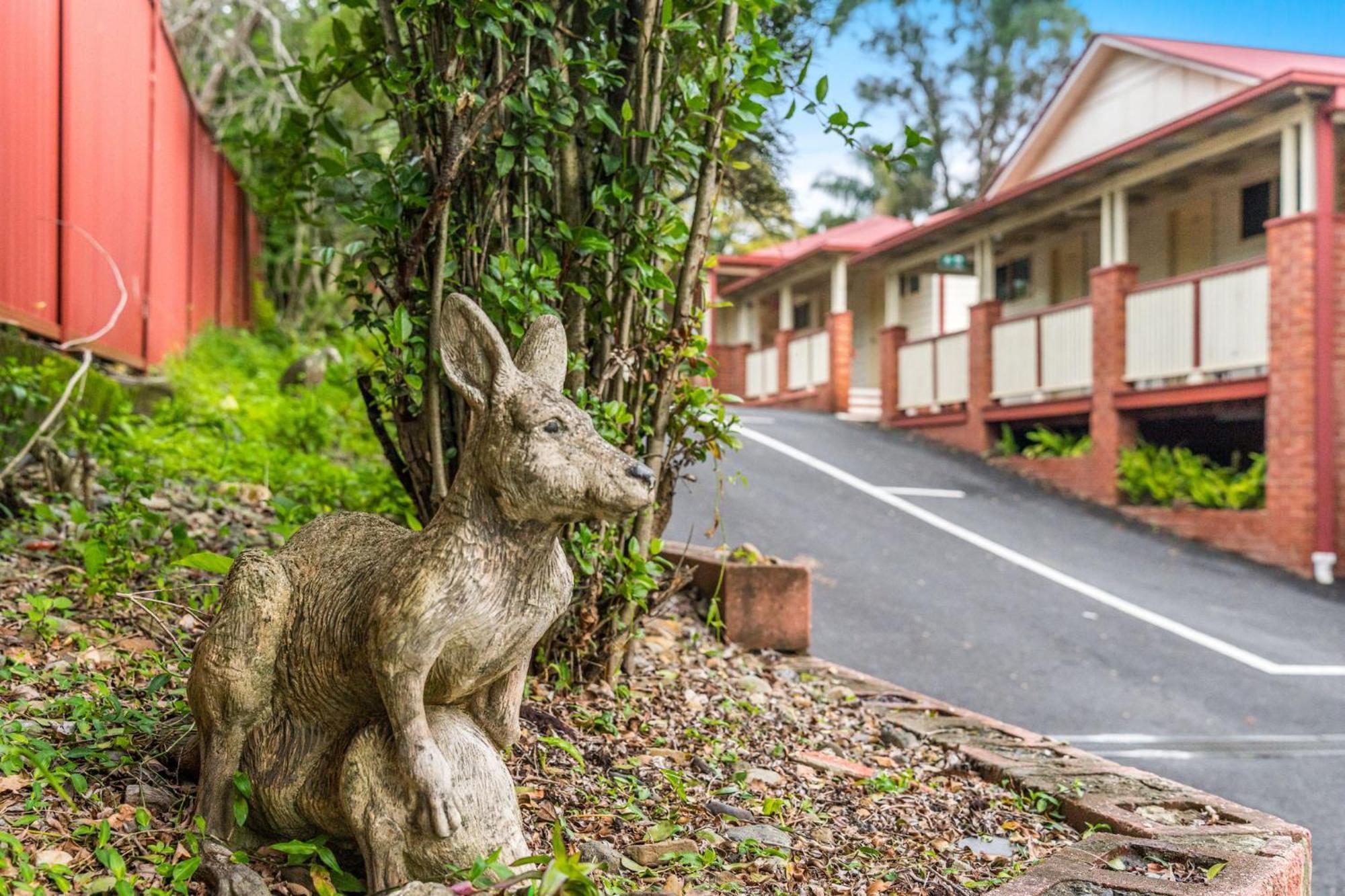 Lismore Wilson Motel Exterior photo